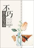 我在等你微微一笑很倾城原文