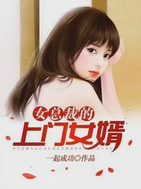 帝师王婿
