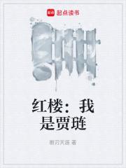 红楼我是贾琏笔趣阁