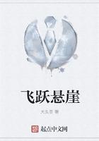 飞跃悬崖演员表