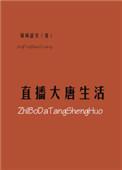 直播大唐生活无防盗