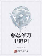 万里追凶法国