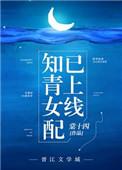 知青女配已上线作者棠十四