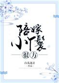 陪嫁丫鬟全文免费阅读