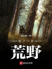 捡了一片荒野怎么办