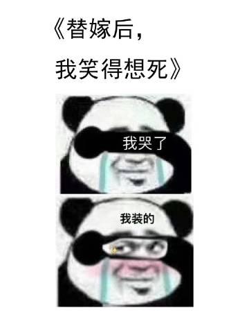 替嫁后我笑得想死完整版