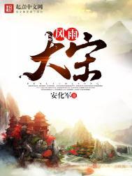 风雨大宋无弹窗