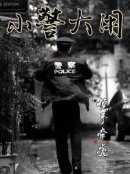 小警大用夏安宁主要内容