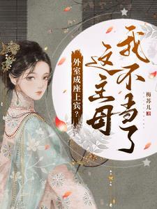 外室是个