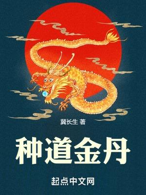 种道金丹是不是改名了