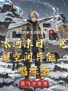末日冰河 顶点