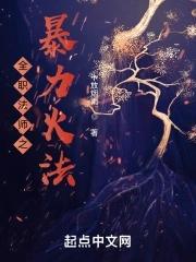 全职法师火系领域