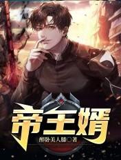 帝王婿TXT