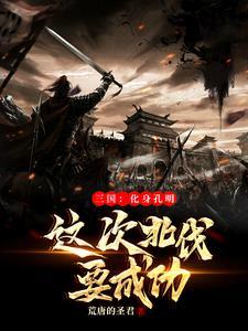 孔明最后一次北伐病死在