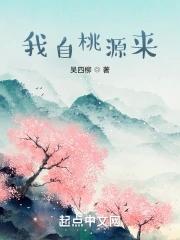 我寻桃源