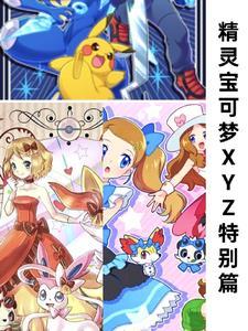 精灵宝可梦xyz20集