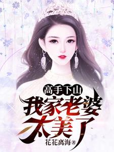 高手下山取总裁老婆