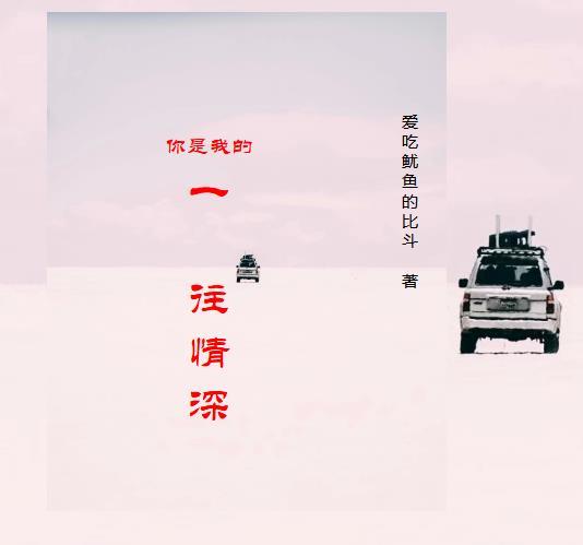 你是我的一往情深凌微波