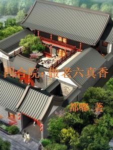 四合院做老六真香TXT