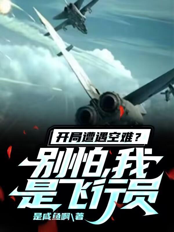 开局空难的