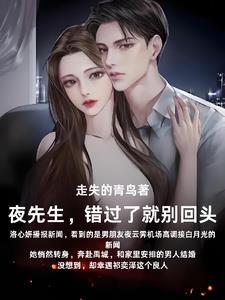 夜先生的心尖宠