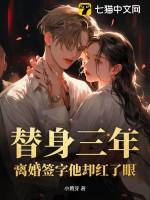 第三章替身第四章离婚纪念日