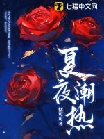 夏夜潮热免费阅读
