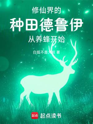 德鲁伊咋玩