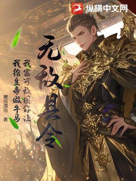无敌县令救皇上是第几集