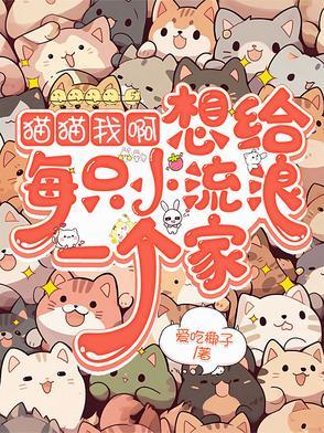流浪猫也想有个家