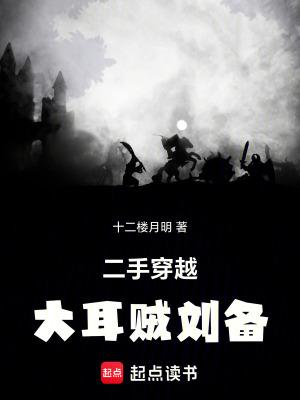 二手穿越大耳贼刘备无弹窗 书旗