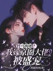 嫁给竹马免费阅读