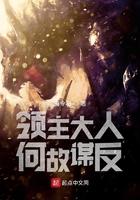 领主大人何故谋反百科