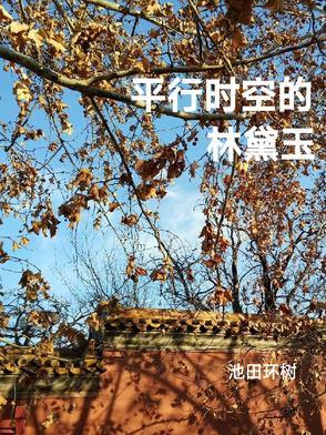 平行时空穿越事件