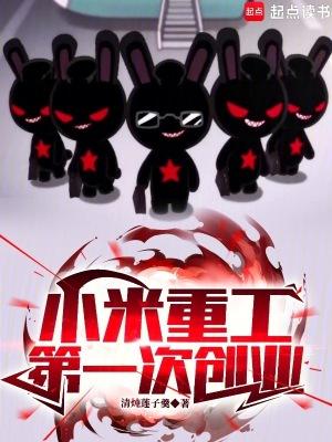 小米重工第一次创业全文
