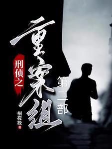 刑侦实录电视剧