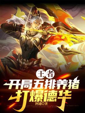 王者打养猪流