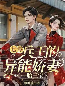 兵王的异能小媳妇txt