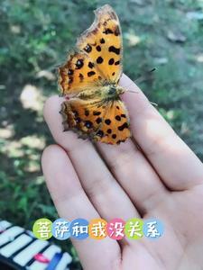 菩萨和我没关系 公子小慧