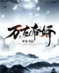 逆风动漫夜玄