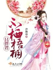 梧桐不夜雨