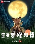宝可梦修改器在线阅读