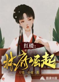 红楼之林