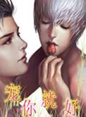 宠你就好全文阅读