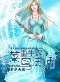 重生之菜鸟律师