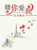 赌你爱我会入骨是什么歌