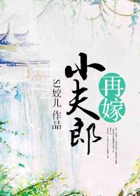 再嫁小夫郎txt资源