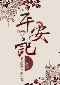 平安记是什么数字