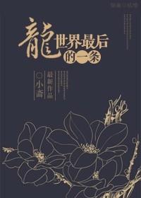 最后一条龙txt