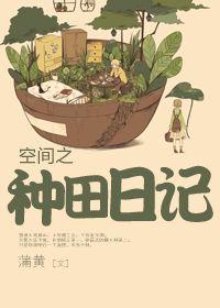 空间种田文